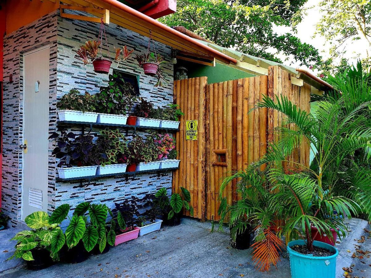 Mj'S Residences Garden Hotel Moalboal Ngoại thất bức ảnh