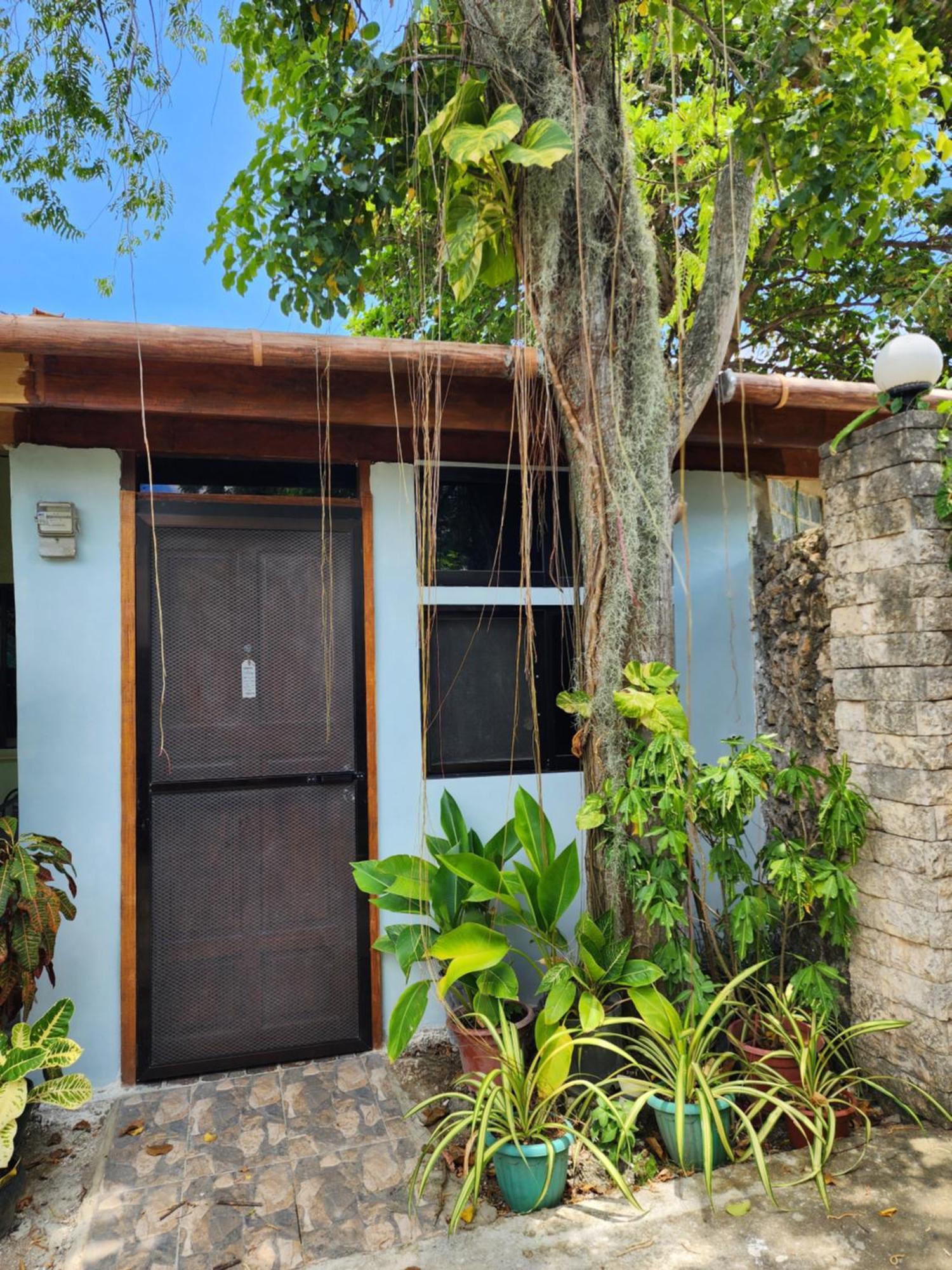 Mj'S Residences Garden Hotel Moalboal Ngoại thất bức ảnh